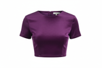 Purple Crop Top